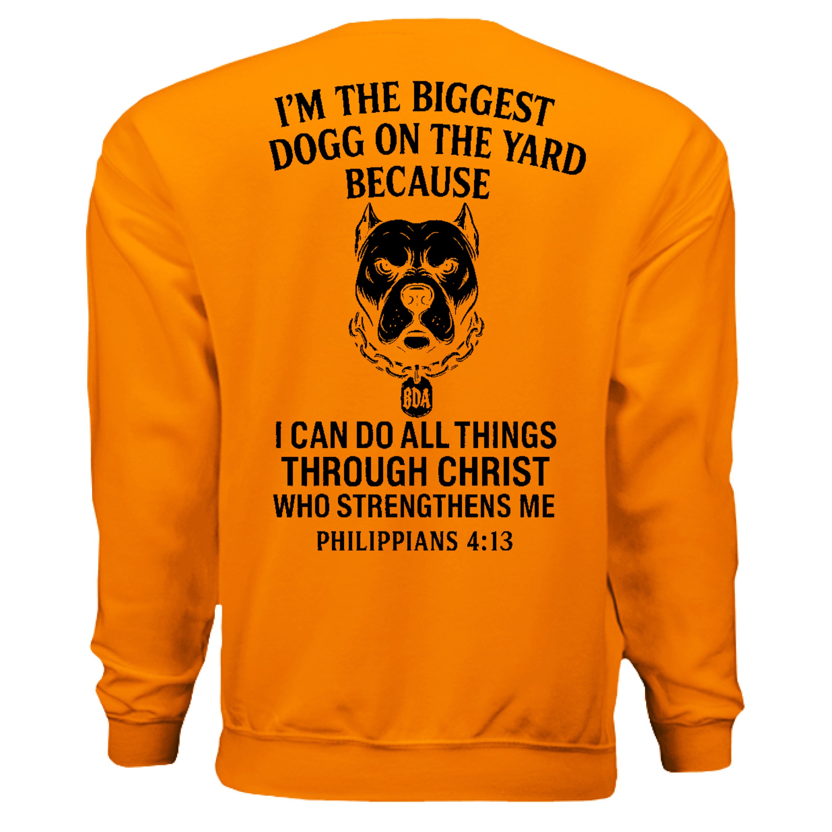 SAFETY ORANGE - BACK